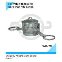 Stainless Steel Ss316 Dust Cap 2 Inch